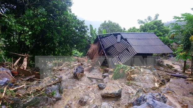 Provincia vietnamita destina fondo para recuperar produccion agricola tras inundaciones hinh anh 1