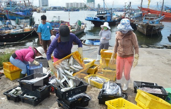 Exportacion acuicola vietnamita asciende a casi siete mil millones de dolares en 10 meses hinh anh 1