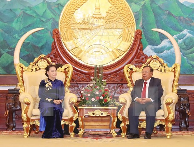 Presidenta del Parlamento vietnamita se reune con maximo dirigente partidista y presidente de Laos hinh anh 1