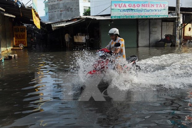 Ciudad Ho Chi Minh coopera con empresa india en proteccion contra inundaciones hinh anh 1
