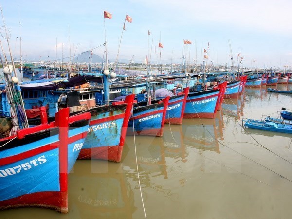 Provincia vietnamita de Nam Dinh se fuerza por impulsar progreso de economia maritima hinh anh 1