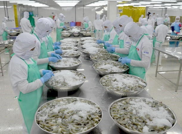 Exportaciones de mariscos vietnamitas alcanzaran ocho mil millones de dolares en 2017 hinh anh 1