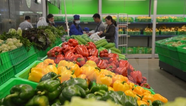 Vietnam ingresa mas de tres mil millones de dolares por ventas de verduras y frutas hinh anh 1