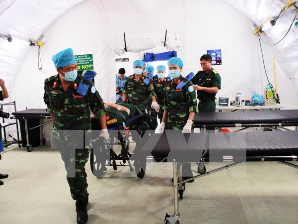India ayuda a entrenar a la fuerza de paz de la ONU en Vietnam hinh anh 1