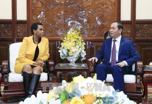 Presidente vietnamita recibe a saliente embajadora sudafricana hinh anh 1
