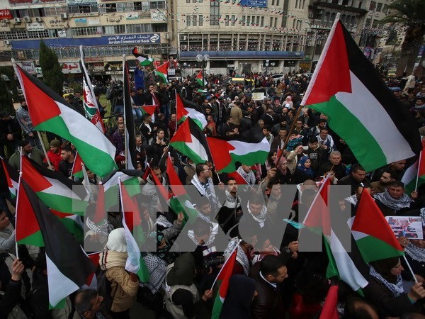 Palestina aboga por solucion pacifica al conflicto con Israel hinh anh 1