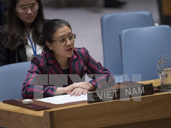 Vietnam llama a una estrategia integral de la ONU para mantener la paz hinh anh 1