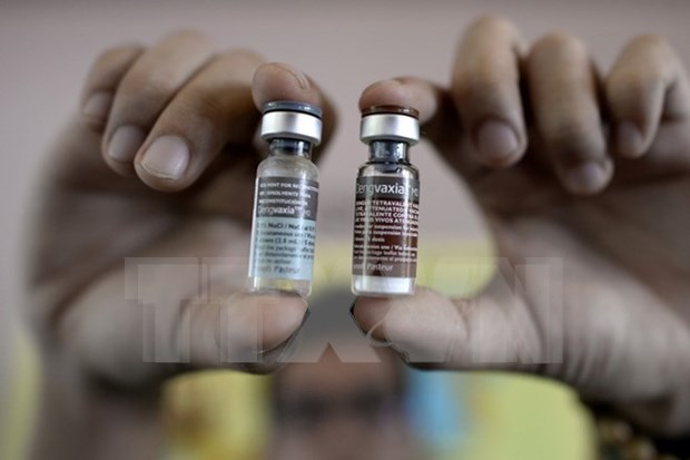 Filipinas investiga casos de mortalidad relacionados con vacuna Dengvaxia hinh anh 1