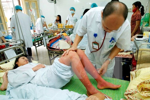 Vietnam busca reducir tasa de mortalidad por dengue hinh anh 1