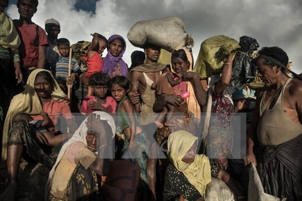 Los primeros rohingyas seran repatriados a Bangladesh en enero de 2018 hinh anh 1
