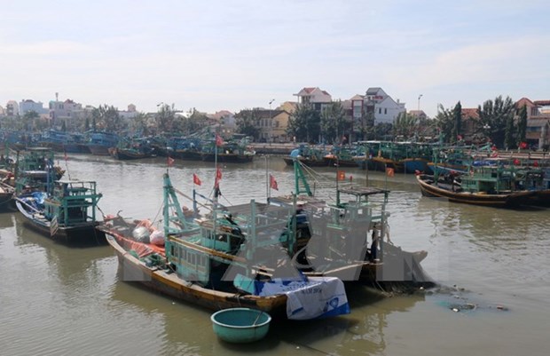 Embajada de Vietnam protege derechos de pescadores arrestados en Indonesia hinh anh 1