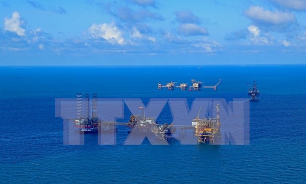Grupo petrolero de Vietnam aumenta su reserva en 2018 hinh anh 1