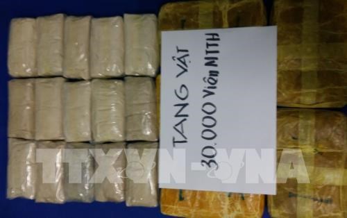 Vietnam decomisa 30 mil capsulas de drogas sinteticas hinh anh 1