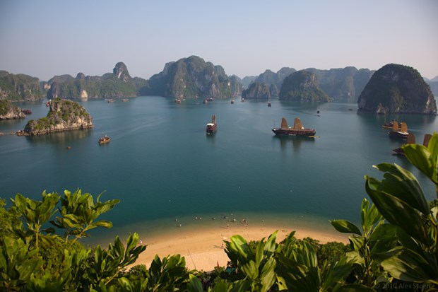 Sector turistico vietnamita alcanza resultados alentadores en 2017 hinh anh 1