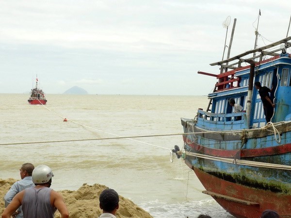 Fuerzas de guardia fronteriza de provincia vietnamita fomenta respaldo a pescadores hinh anh 1