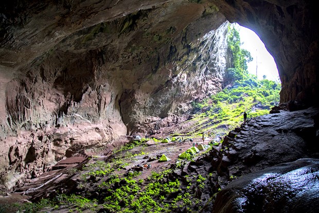 Lanzan tours de aventura a cuarta mayor cueva mundial en provincia centrovietnamita hinh anh 1