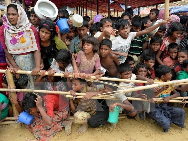 Myanmar y Bangladesh impulsan repatriacion de refugiados rohingyas hinh anh 1