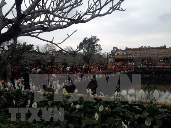 Ciudad Imperial de Hue reporta alta llegada de turistas durante el Ano Nuevo Lunar hinh anh 1