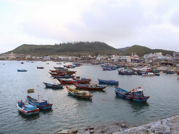 Vietnam insiste en renovar la pesca cumpliendo con las normas europeas hinh anh 1