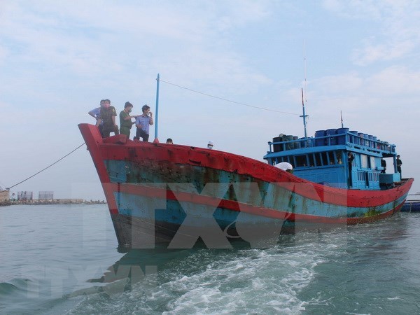 Provincia vietnamita acelera busqueda de pesquero con siete marinos a bordo hinh anh 1