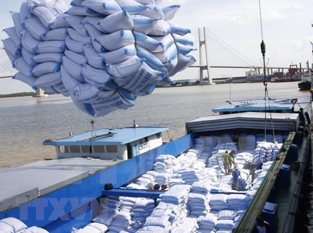 Vietnam por exportar 6,5 millones de toneladas de arroz en 2018 hinh anh 1