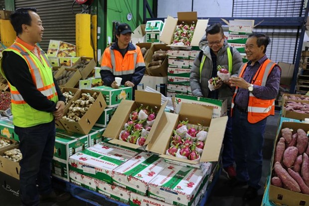 ASEAN- segundo mayor importador de productos agricolas de Sudcorea hinh anh 1