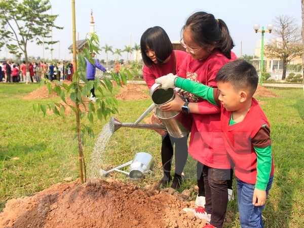 Japon respalda a Hanoi en proyecto de plantacion de arboles hinh anh 1