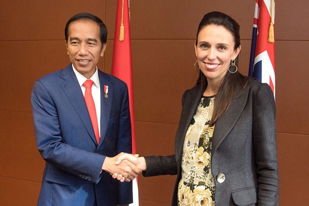 Nueva Zelanda e Indonesia se comprometen a fortalecer los lazos economicos hinh anh 1