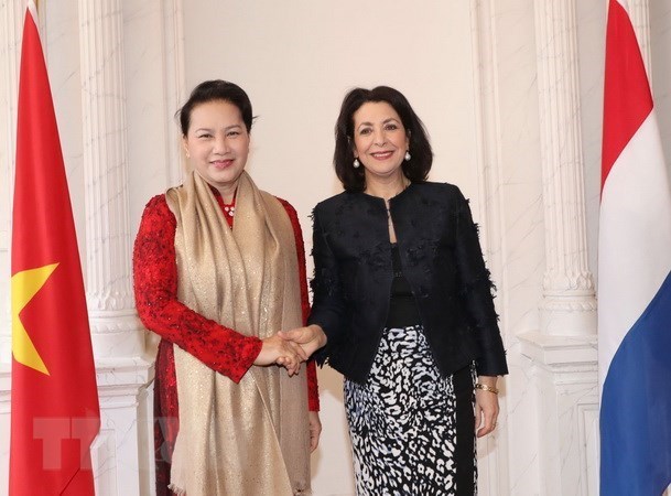 Presidenta parlamentaria de Vietnam mantiene conversaciones con titular de Camara Baja holandesa hinh anh 1
