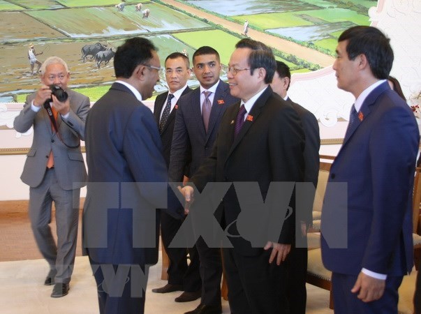 Vietnam y Madagascar atesoran alto potencial en cooperacion agricola hinh anh 1