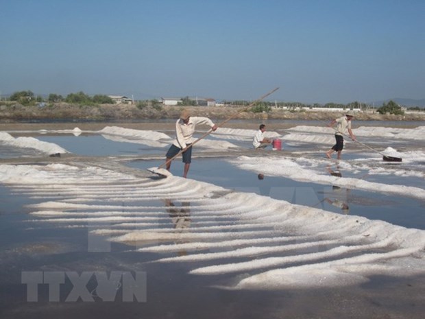 El 90% de la poblacion vietnamita consume mas sal de la recomendada hinh anh 1