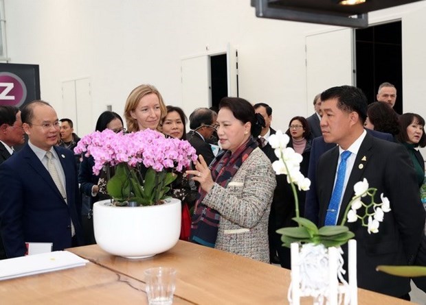 Presidenta parlamentaria de Vietnam indaga agricultura de alta tecnologia en Paises Bajos hinh anh 1
