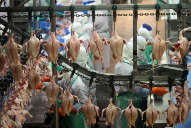 China permite la importacion de carne de pollo de Tailandia hinh anh 1