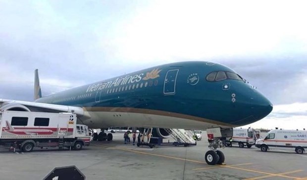 Avion de Vietnam Airlines aterriza de emergencia para salvar a un pasajero hinh anh 1