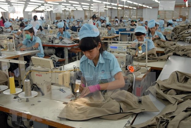 Tien Giang muestra aumento de mas del 24 por ciento en sus exportaciones hinh anh 1