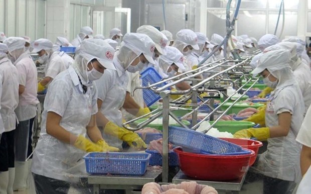 Vietnam intensifica esfuerzos para el levantamiento de la tarjeta amarilla de UE en sector acuatico hinh anh 1