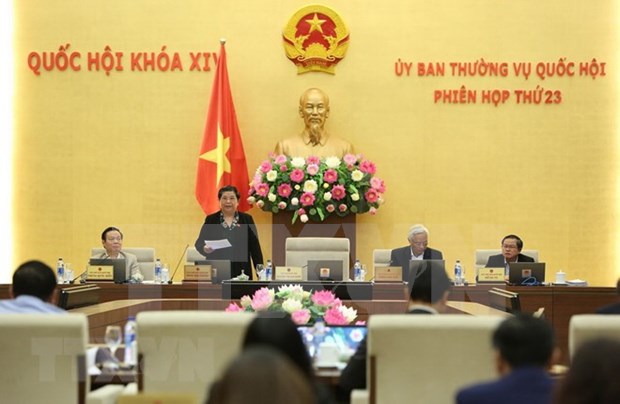 Debate Parlamento de Vietnam sobre politicas preferenciales en unidades administrativas-economicas especiales hinh anh 1