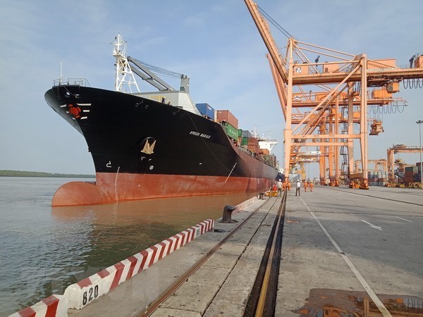 Gigantesco buque portacontenedores de Singapur arriba al puerto de Hai Phong hinh anh 1