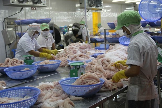 Sector de pescado Tra de Vietnam amplia exportaciones al mercado chino hinh anh 1