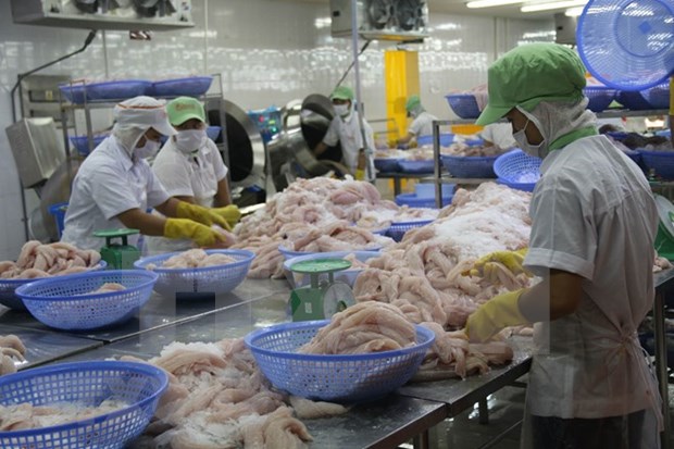 Vietnam: Exportacion acuicola asciende a dos mil 400 millones USD en primeros cuatro meses hinh anh 1