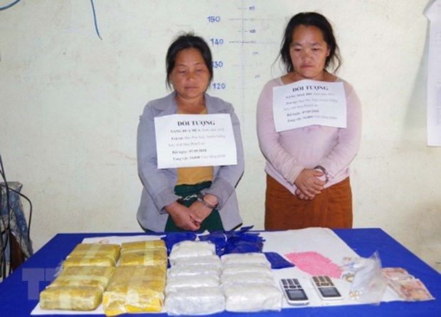 Arrestan a dos traficantes laosianas con 34 mil pastillas de metanfetamina hinh anh 1