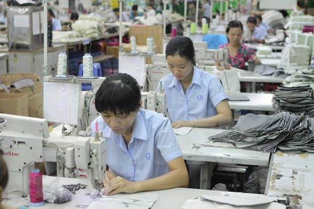 Buscan aumentar exportaciones textiles de Vietnam a Australia tras CPTPP hinh anh 1