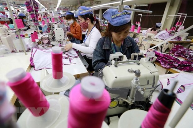 Vietnam reporta senal positiva en exportacion de fibras hinh anh 1