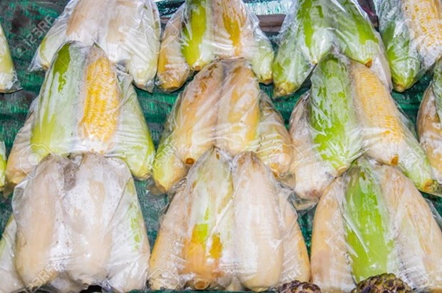 Tailandia adapta medidas para disminuir el uso de bolsas de nylon hinh anh 1