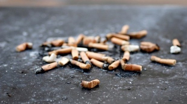 Vietnam intensifica lucha contra el tabaquismo hinh anh 1