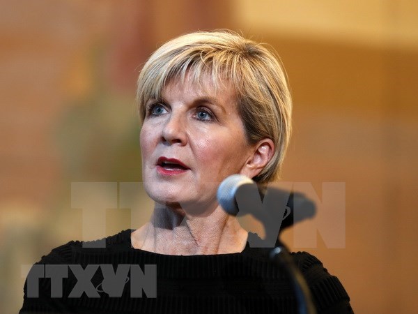Australia desea ampliar nexos de cooperacion con Vietnam, dice canciller hinh anh 1