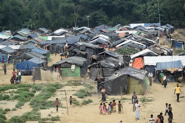 Decenas de refugiados rohingyas aspiran a regresar a Myanmar hinh anh 1