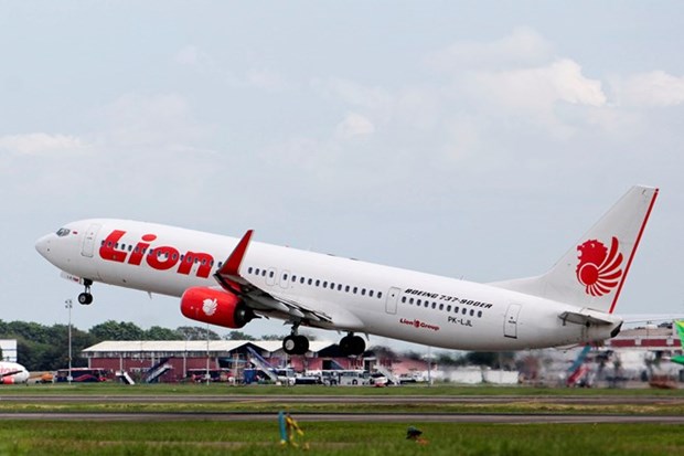 Al menos 10 pasajeros heridos en Indonesia por falsa alarma de bomba en avion hinh anh 1