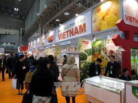 Productos agricolas de Vietnam son bien recibidos en Japon hinh anh 1