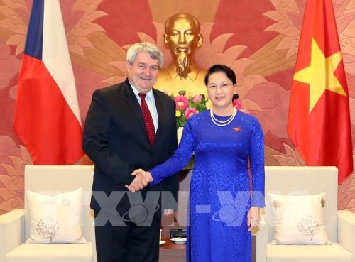 Vietnam y Republica Checa intensifican cooperacion legislativa hinh anh 1